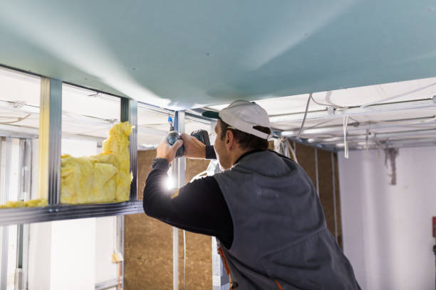 Best Insulation Maintenance and Repair in Hopewell, NJ